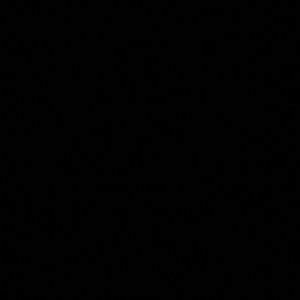 Meet your Posher, Beau